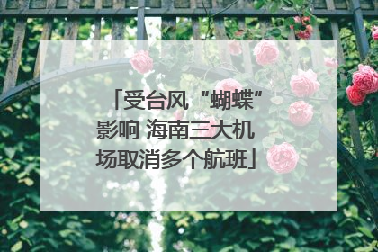 受台风“蝴蝶”影响 海南三大机场取消多个航班