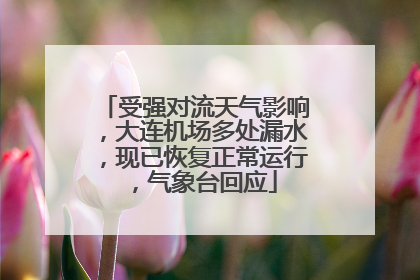 受强对流天气影响，大连机场多处漏水，现已恢复正常运行，气象台回应