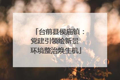 台前县侯庙镇：党建引领绘新景 环境整治焕生机
