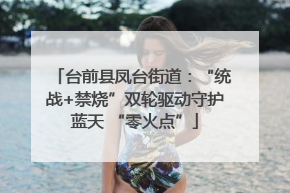 台前县凤台街道：“统战+禁烧”双轮驱动守护蓝天 “零火点”