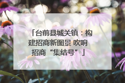 台前县城关镇：构建招商新图景 吹响招商“集结号”