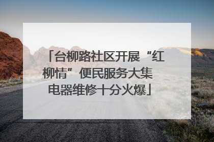 台柳路社区开展“红柳情”便民服务大集 电器维修十分火爆
