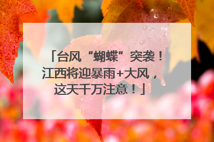 台风“蝴蝶”突袭！江西将迎暴雨+大风，这天千万注意！