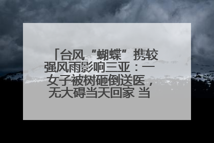 台风“蝴蝶”携较强风雨影响三亚：一女子被树砸倒送医，无大碍当天回家 当地已紧急清障