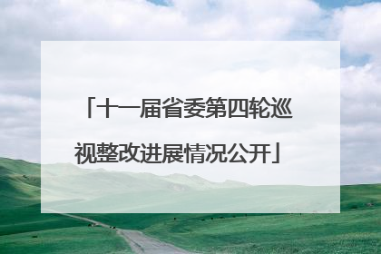 十一届省委第四轮巡视整改进展情况公开