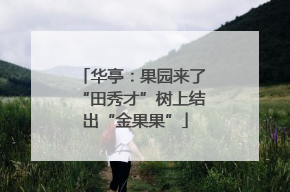 华亭：果园来了“田秀才”树上结出“金果果”
