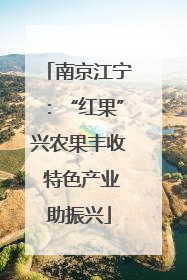 南京江宁：“红果”兴农果丰收 特色产业助振兴