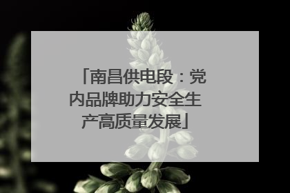 南昌供电段：党内品牌助力安全生产高质量发展
