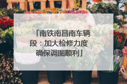 南铁南昌南车辆段：加大检修力度确保调图顺利