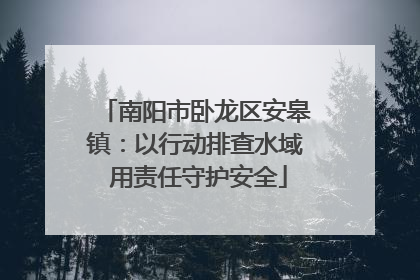 南阳市卧龙区安皋镇：以行动排查水域 用责任守护安全