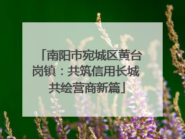 南阳市宛城区黄台岗镇：共筑信用长城 共绘营商新篇