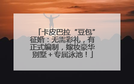 卡皮巴拉“豆包”征婚：无需彩礼，有正式编制，嫁妆豪华别墅＋专属泳池！