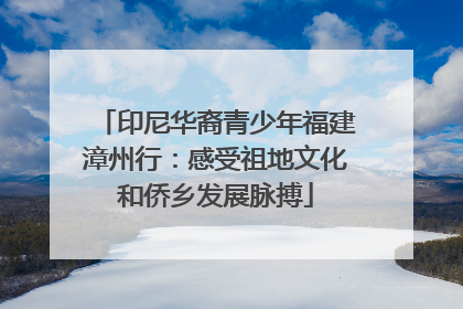 印尼华裔青少年福建漳州行：感受祖地文化和侨乡发展脉搏