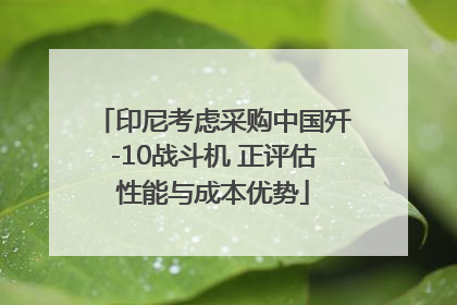 印尼考虑采购中国歼-10战斗机 正评估性能与成本优势