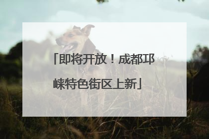 即将开放！成都邛崃特色街区上新