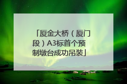 厦金大桥（厦门段）A3标首个预制墩台成功吊装