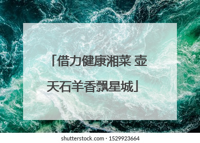 借力健康湘菜 壶天石羊香飘星城
