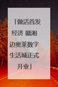 做活首发经济 赣湘边奥莱数字生活城正式开业