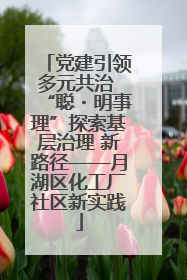 党建引领多元共治 “聪・明事理”探索基层治理 新路径——月湖区化工厂社区新实践
