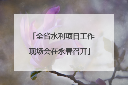 全省水利项目工作现场会在永春召开