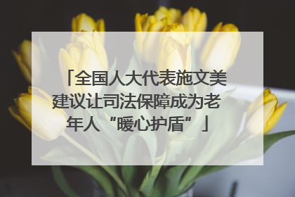 全国人大代表施文美建议让司法保障成为老年人“暖心护盾”