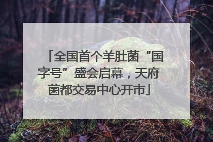 全国首个羊肚菌“国字号”盛会启幕，天府菌都交易中心开市