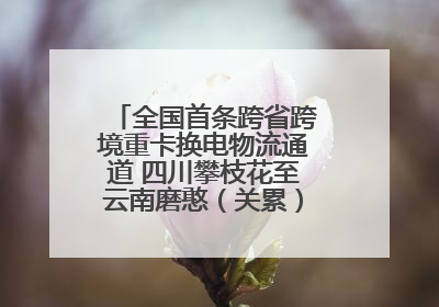 全国首条跨省跨境重卡换电物流通道 四川攀枝花至云南磨憨（关累）换电干线启动
