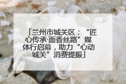 兰州市城关区：“匠心传承·面香丝路”媒体行启幕，助力“心动城关”消费提振