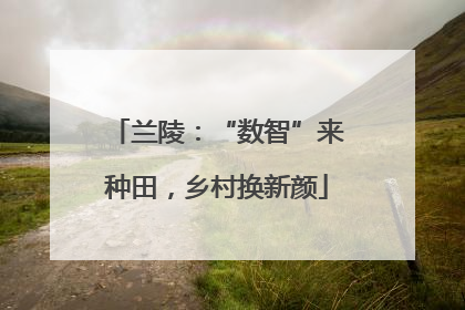 兰陵：“数智”来种田，乡村换新颜