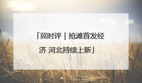 冀时评｜抢滩首发经济 河北持续上新