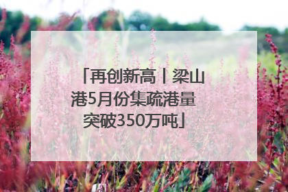 再创新高丨梁山港5月份集疏港量突破350万吨