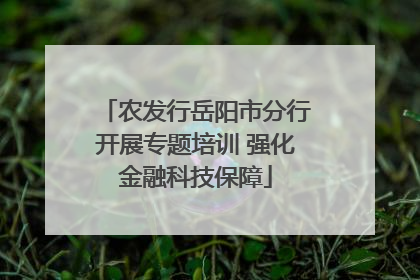 农发行岳阳市分行开展专题培训 强化金融科技保障