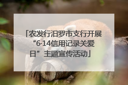 农发行汨罗市支行开展“6·14信用记录关爱日”主题宣传活动