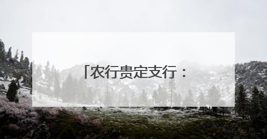 农行贵定支行：提升普惠金融 助力乡村振兴