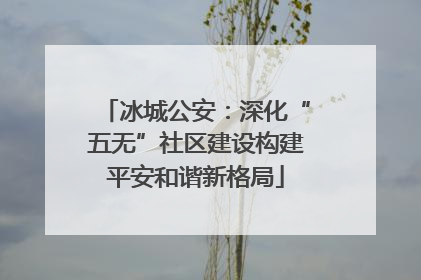 冰城公安：深化“五无”社区建设构建平安和谐新格局