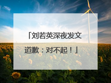 刘若英深夜发文道歉：对不起！