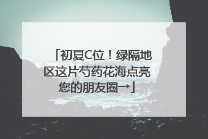 初夏C位！绿隔地区这片芍药花海点亮您的朋友圈→