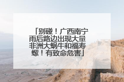 别碰！广西南宁雨后路边出现大量非洲大蜗牛和福寿螺！有致命危害