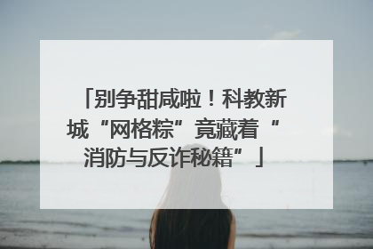 别争甜咸啦！科教新城“网格粽”竟藏着“消防与反诈秘籍”
