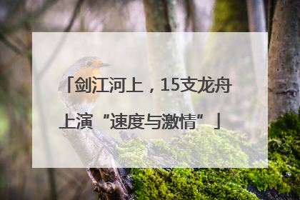 剑江河上，15支龙舟上演“速度与激情”