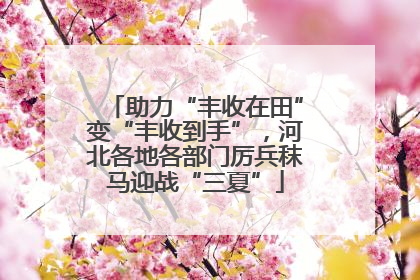 助力“丰收在田”变“丰收到手”，河北各地各部门厉兵秣马迎战“三夏”