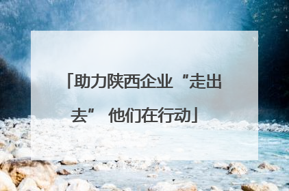 助力陕西企业“走出去” 他们在行动