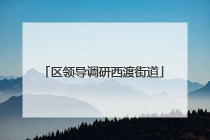 区领导调研西渡街道