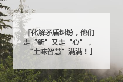 化解矛盾纠纷，他们走“新”又走“心”，“土味智慧”满满！