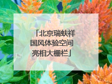 北京瑞蚨祥国风体验空间亮相大栅栏