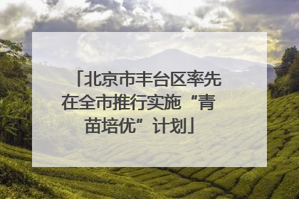 北京市丰台区率先在全市推行实施“青苗培优”计划