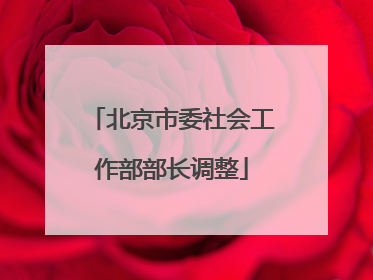 北京市委社会工作部部长调整