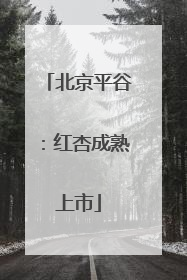 北京平谷：红杏成熟上市