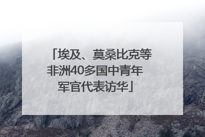 埃及、莫桑比克等非洲40多国中青年军官代表访华