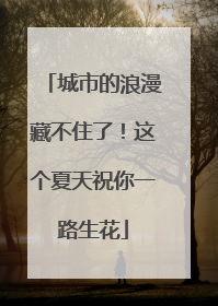 城市的浪漫藏不住了！这个夏天祝你一路生花